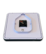 dong-ho-treo-tuong-rhythm-cmg597nr02