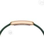 dong-ho-daniel-wellington-bound-crocodile-champagne-sunray-gold-dw00100694