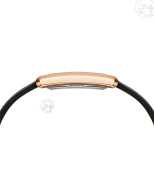 dong-ho-daniel-wellington-bound-black-crocodile-dw00100693