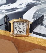 dong-ho-srwatch-sg7007-4602gm