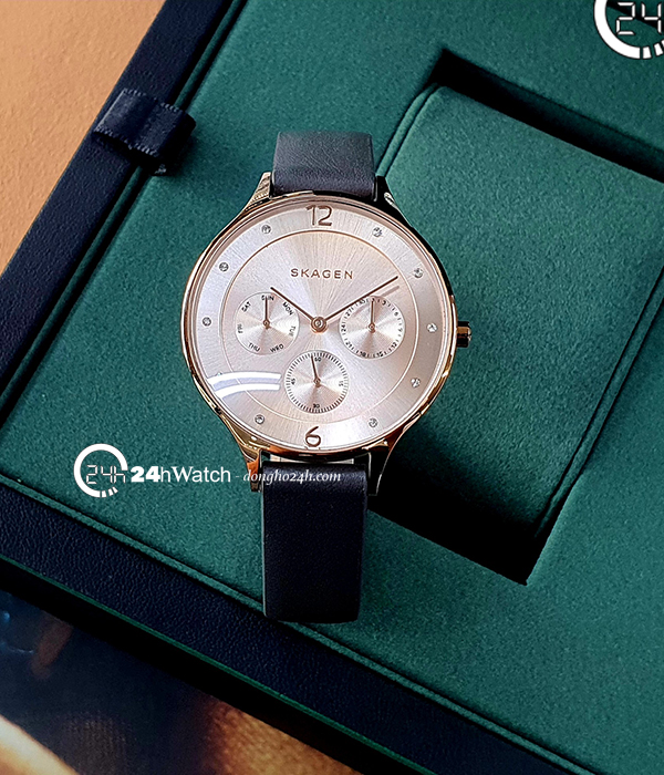 Skagen skw2392 deals